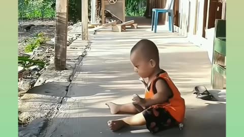 Bast funny video