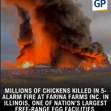 Millions of Chickens Killed At A Farm In Illinois 😱😧😩🥺😡