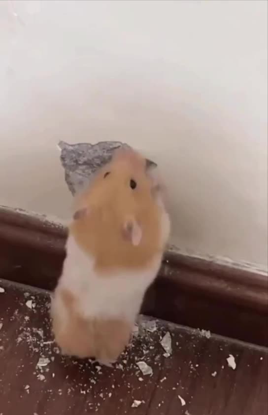 Working hard for the future wage increase 😂