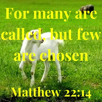“For many are called, but few are chosen.”