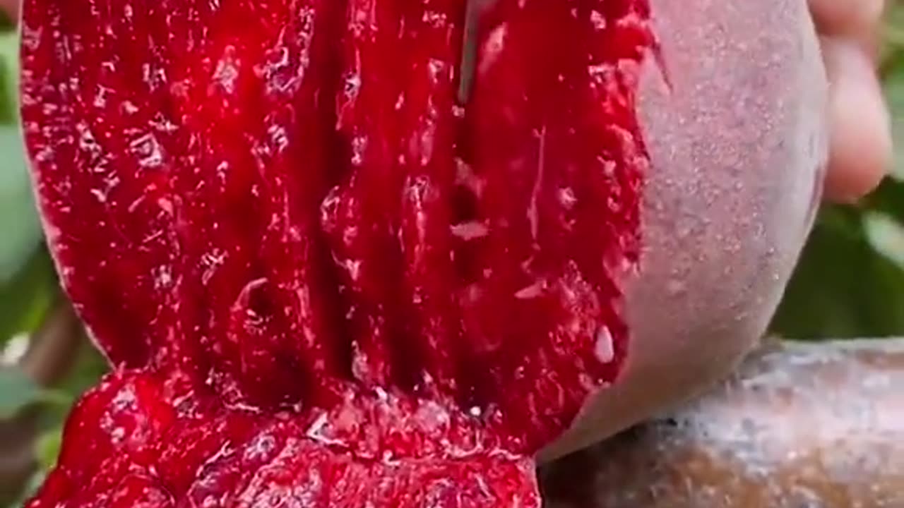 Satisfying fruit cutting video #shorts