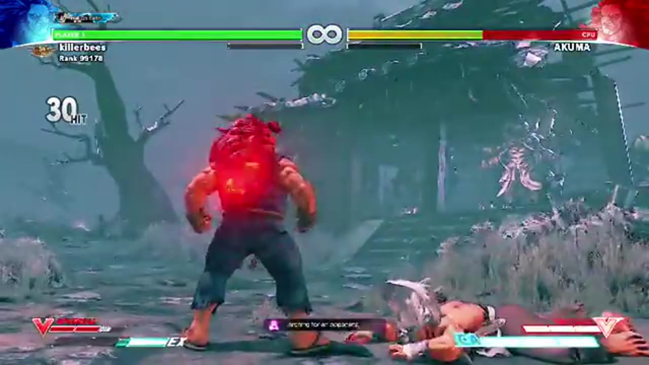 Akuma Raging Demon