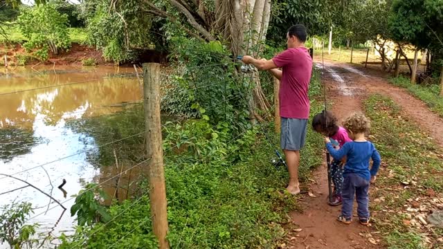 Pescaria raiz de traira na fazenda em goias 2023 ( Pegamos os peixes )