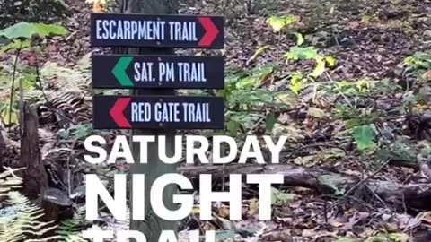 SATURDAY NIGHT FEVER TRAIL