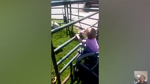 Funny Baby Meet Animals For The First Time __ Cool Peachy.