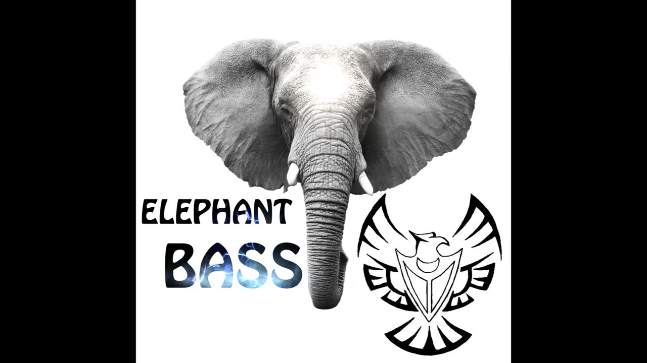 Elephant Bass (Instrumental) by Universal Will