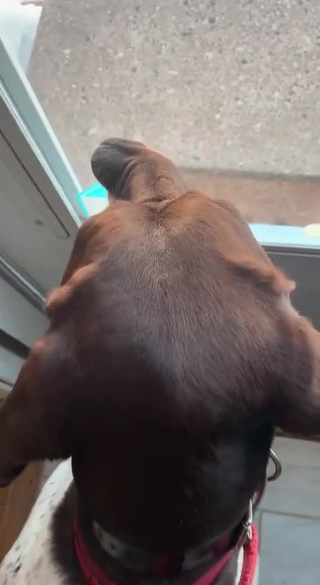 Someone’s nose is out of joint 😂😂