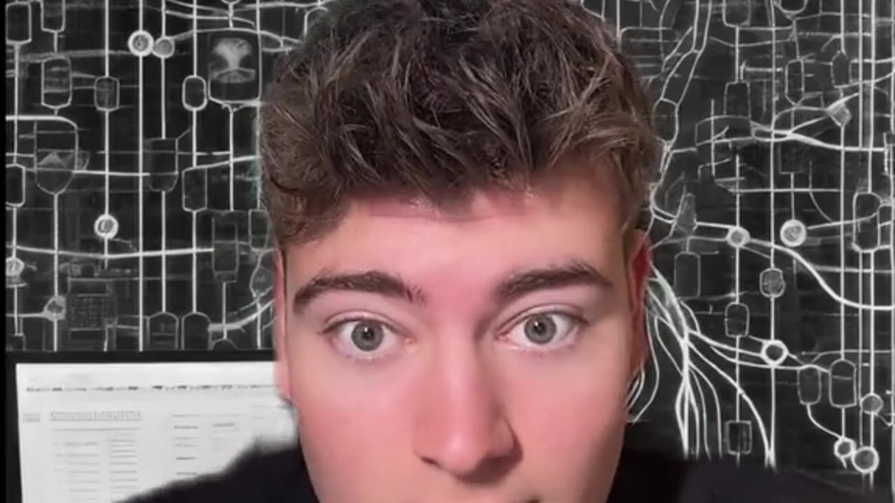The dead internet theory