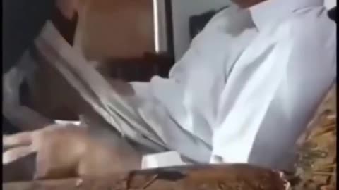 Pashto New Song 2022 | Sexy Song |