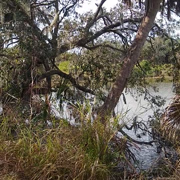 Red Bug Slough Preserve in Sarasota!
