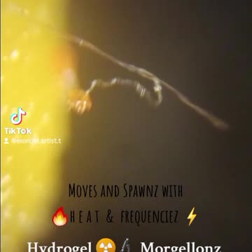 Doritos w/ 5G+quantumDOTS DarpaHydrogel carbon nano tubes.Morgellonz