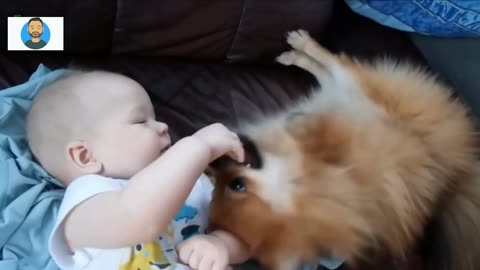 Adorable Babies and Their Furry Best Friends - Cute Pet and Baby Relationships