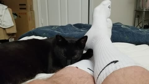 20241127 235008 Tux in Bed Ankle Doze-Off