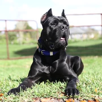 When You Come From Different Worlds, but You Make It Work