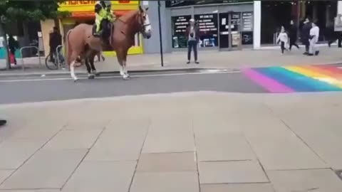 Horses React to Flag Like It's A Snake