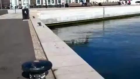 Vid Helsingörskajen i Helsingborg 18 April 2018