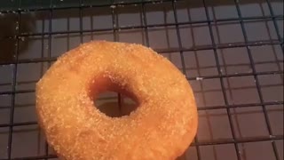 Organic Cinnamon Donut