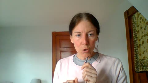 assurance wireless phone right into the lap top