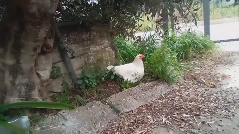 ΚΑΙ ΟΥΚ ΗΘΕΛΗΣΑΤΕ