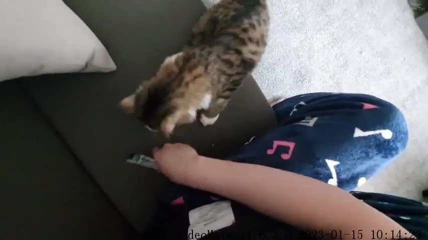 Will you give it to me or not