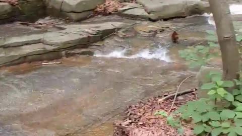 We can't ride the water slide at Gwanaksan Mountain, can we?