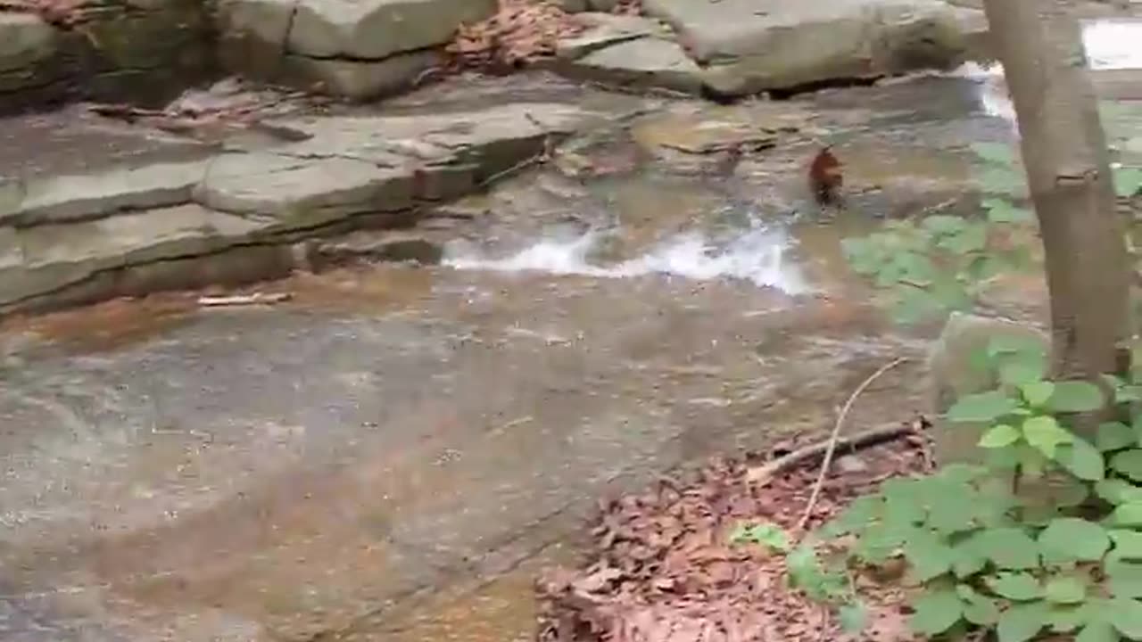 We can't ride the water slide at Gwanaksan Mountain, can we?