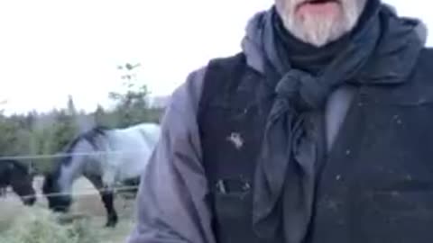 PEDOPHILES by The Real Canadian Cowboy