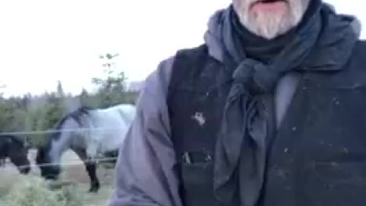 PEDOPHILES by The Real Canadian Cowboy