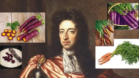 The Mandela Effect purple carrots