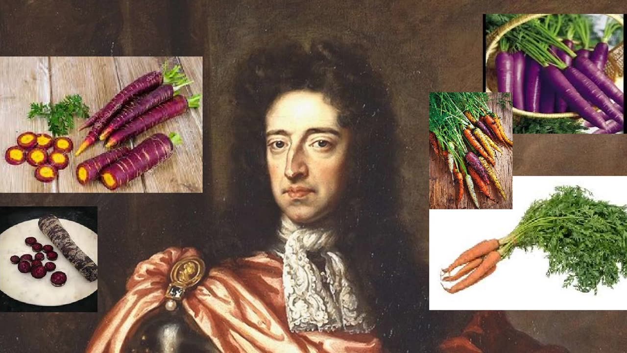 The Mandela Effect purple carrots