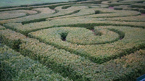 Vid Pålsjö slott Helsingborg 4 Sept. 2013