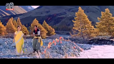 Chitti Nadumune Full Video Song Hd | Pawan Kalyan And Meera Jasmine | Silver Screen Movies