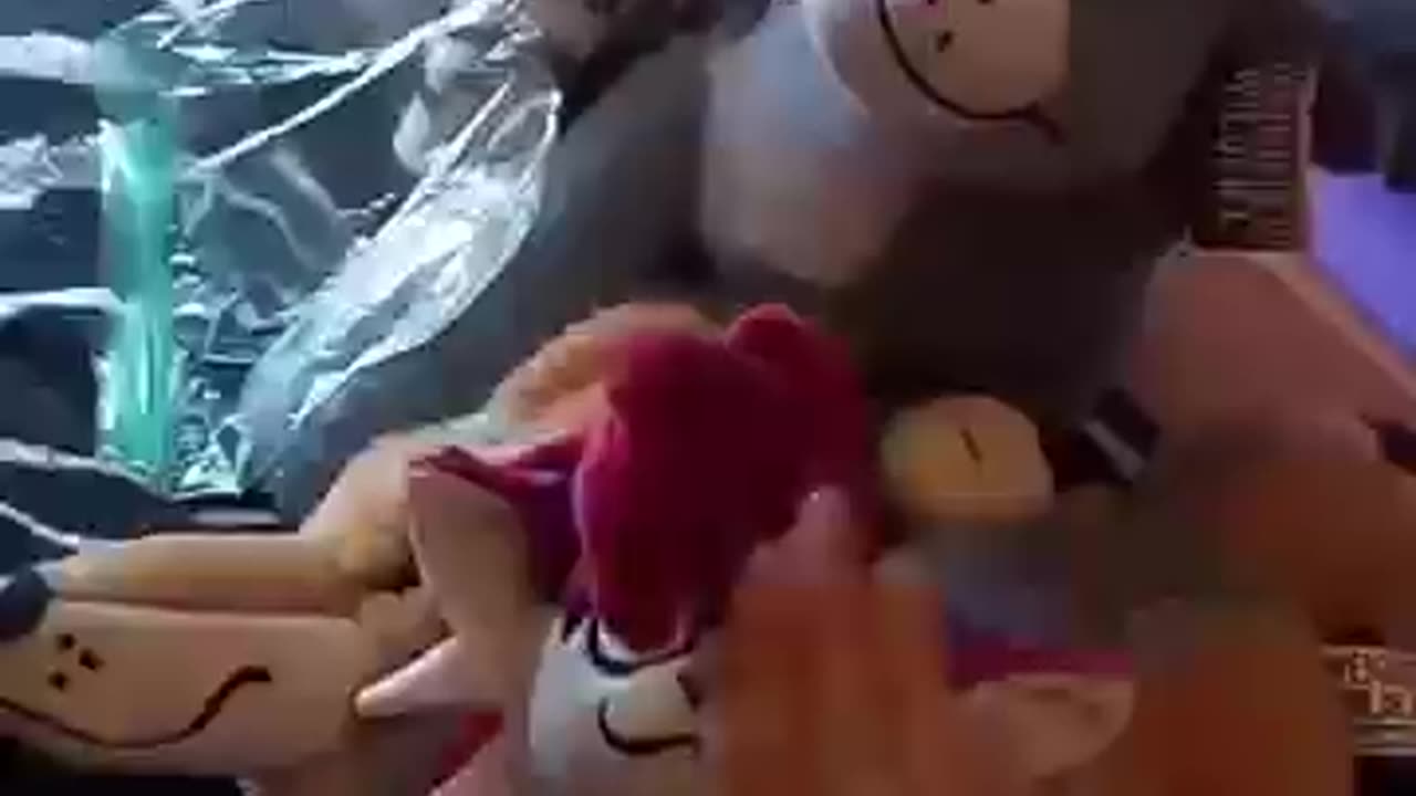 THE THE. AAAH
