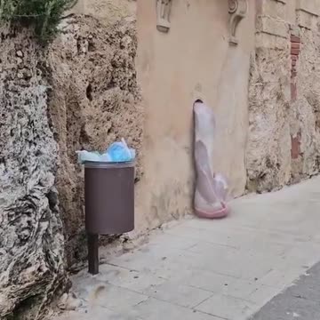 What in the heck, is this??!?