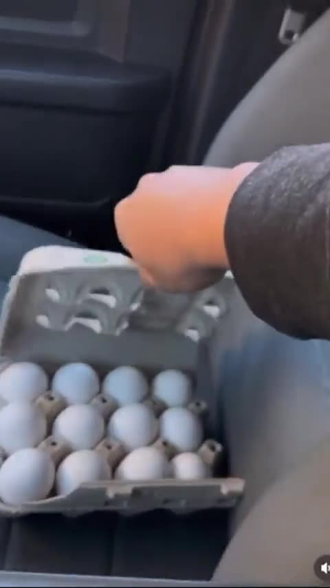 "As a chicken owner I may need to invest in this for my future egg supply syndicate"