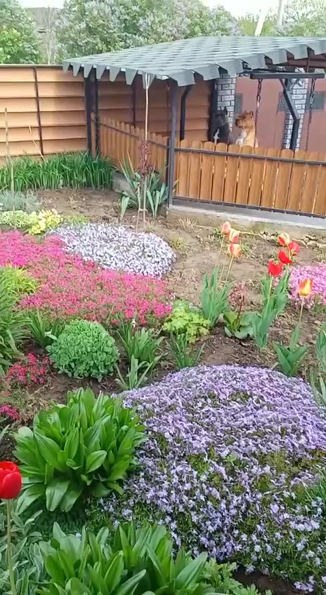 Just a couple of dogs on a swing set 😊