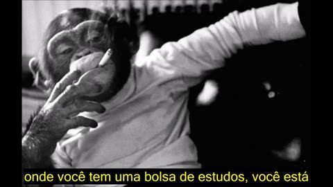 Mesmo Ginocêntrismo, Rótulos Diferentes - Resposta a Prager U - TFM