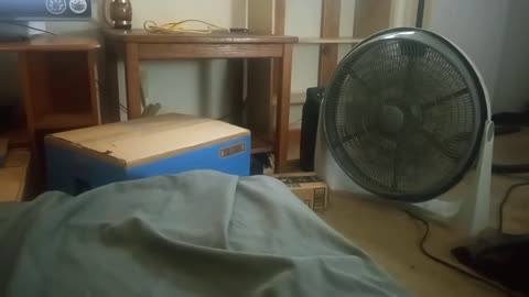 DAVID REQUIRES A NAP