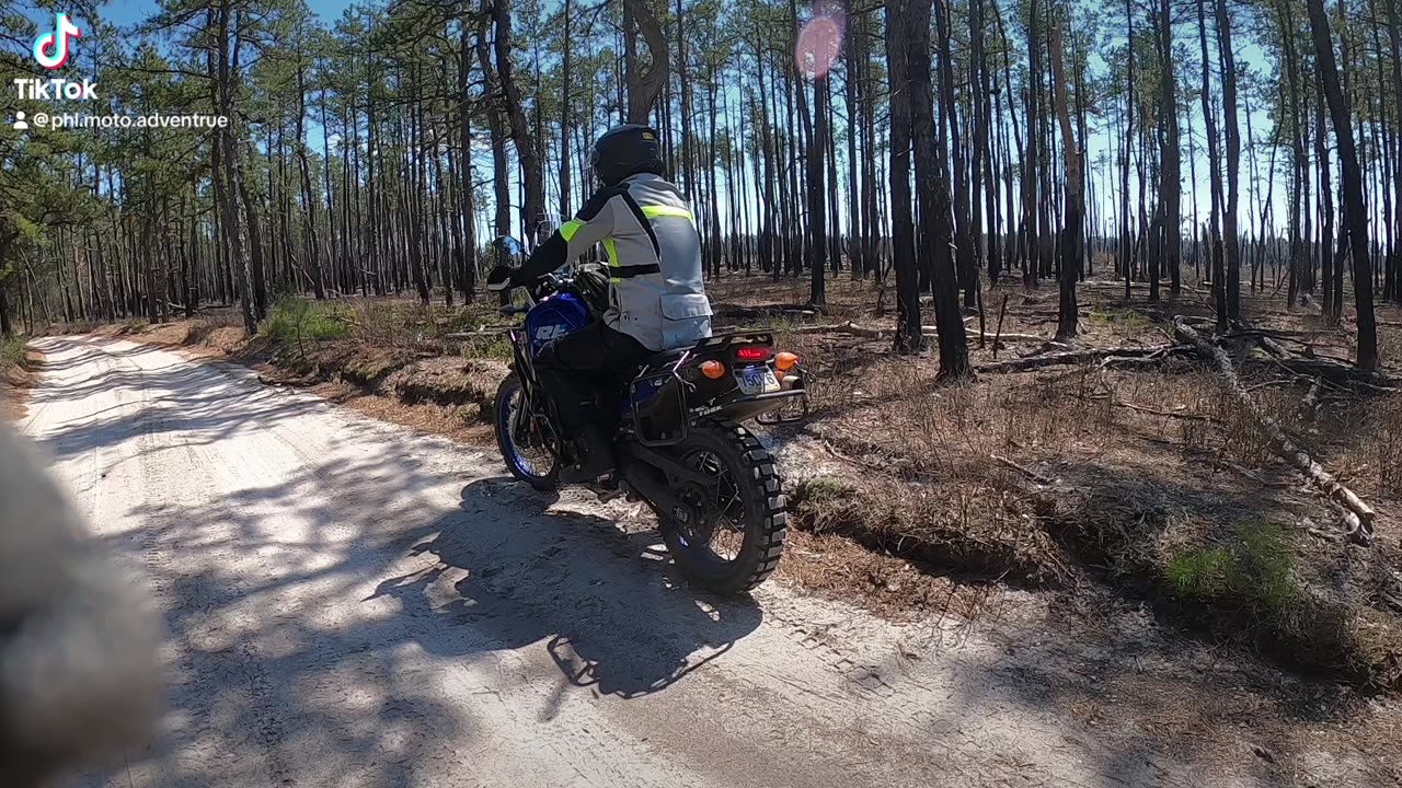 Tenere 700 in the NJ pine barrens