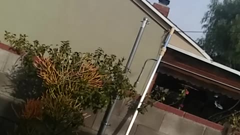 WHY DO YOU SEE WATER ON THE WINDOWS IN THE MORNING?