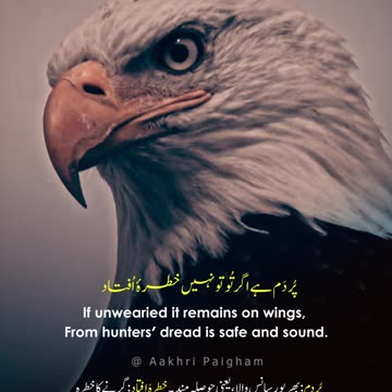 Shaheen Kabhi Parwaz Se Thak Kar Nahin Girta - Dr. Allama Iqbal