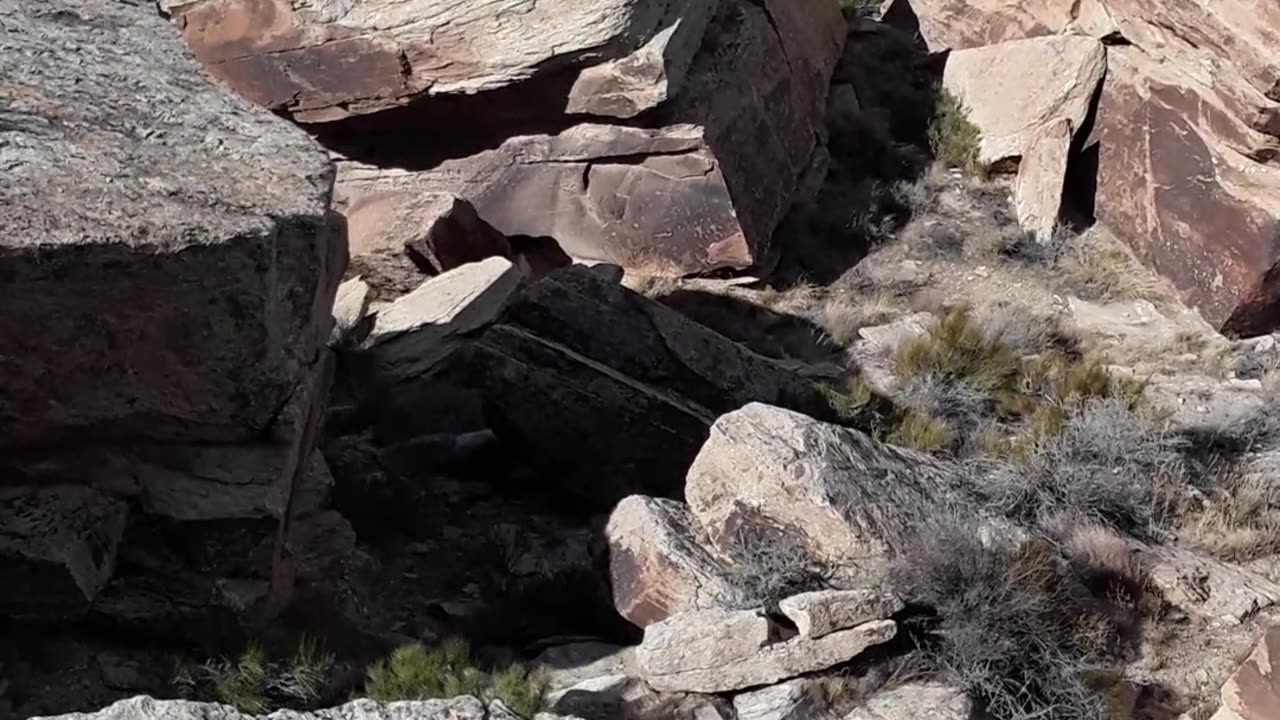 "Newspaper Rock" in the Petrified Nat'l Forrest in Arizona. WOW 650 images