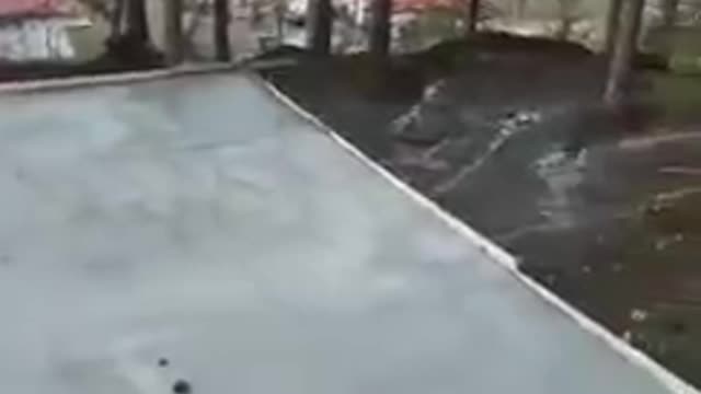 Boçi nxjerr VIDEO-n nga prerja e pishave dhe betonizimi i perlës së Elbasanit