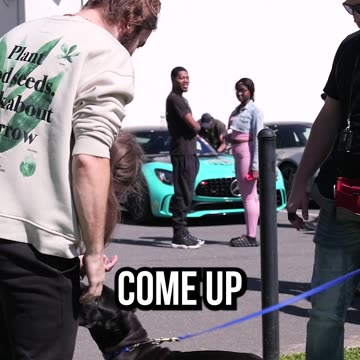 Why It’s Important To Have Moderation With Your Dog