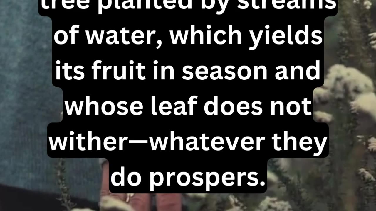 Daily Bible Verse