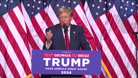 Georgia State appellate court will hear Trump appeal