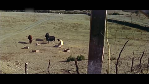 La gata - Película española completa