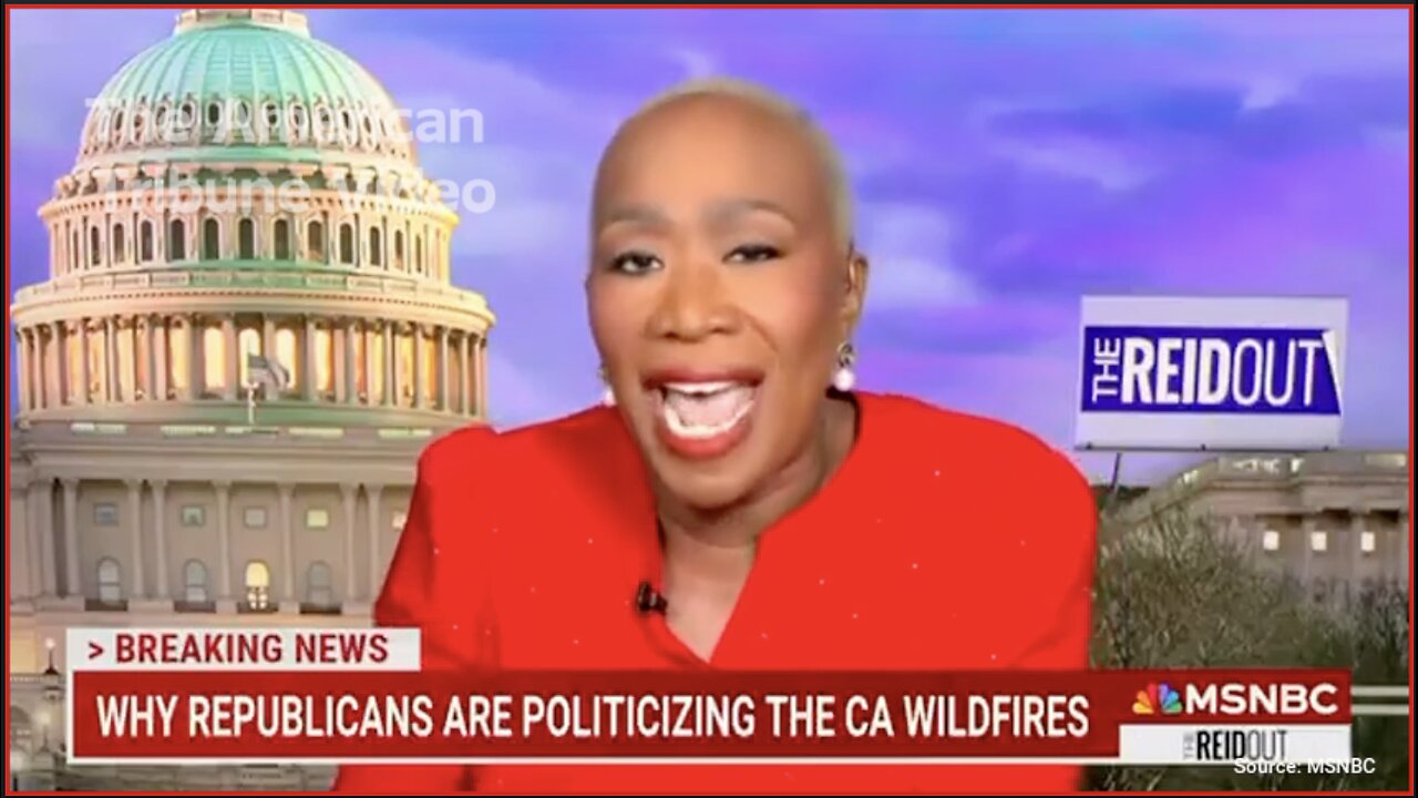 WATCH: Joy Reid Embarrasses Herself with Bizarre Meltdown Live on Air