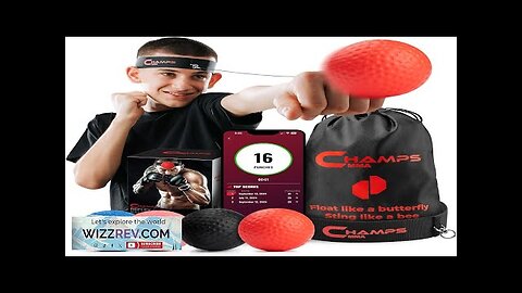 Boxing Reflex Ball Set with Punch Counter App– 4 Boxing Balls Review