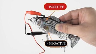 Robotic Swimming Lure USB Rechargeable LED Light Multi Jointed Swimbait